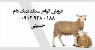 سنگ نمک برای دام