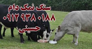 خرید سنگ نمک برای گاو