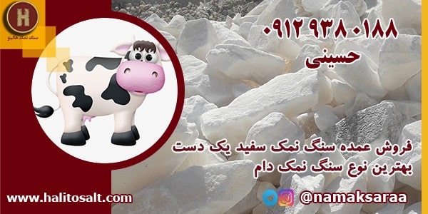 سنگ نمک گاو