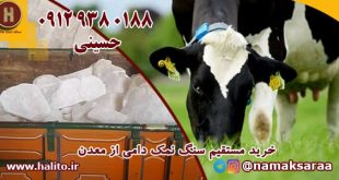 نمک دامداری