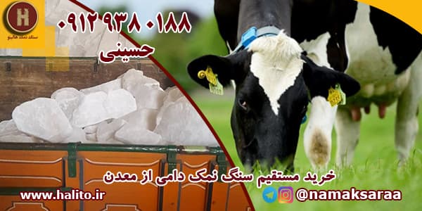 نمک دامداری