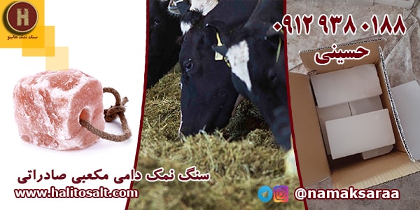 سنگ نمک دامی