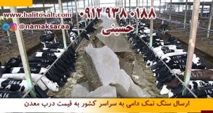 سنگ نمک گاو