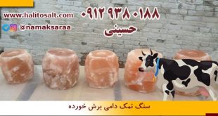 سنگ نمک دام
