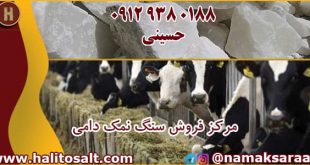 نمک دامی