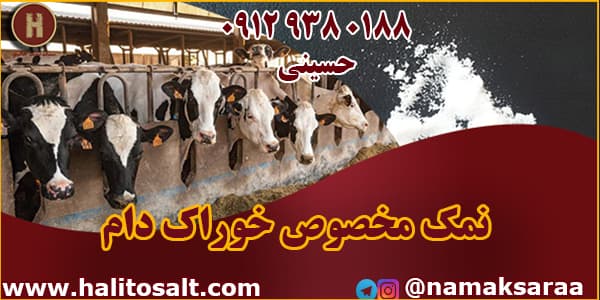 نمک دامداری