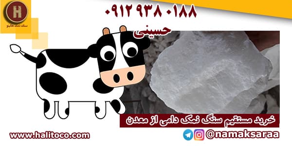 نمک دامی