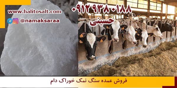 نمک دامی