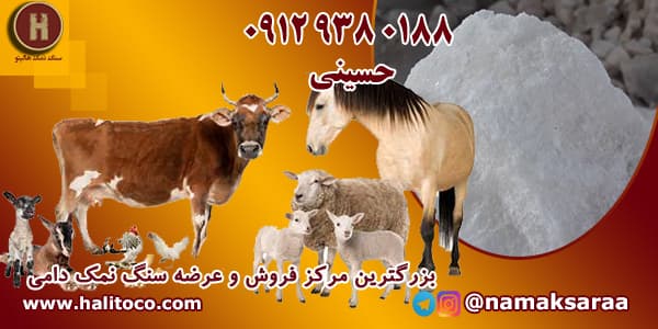 نمک دامی