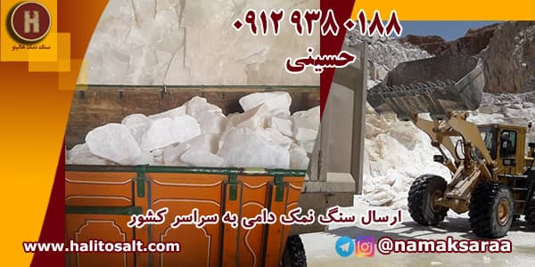 سنگ نمک دام