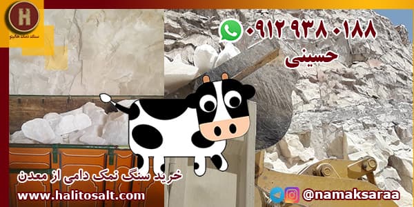 سنگ نمک برای گوسفندان