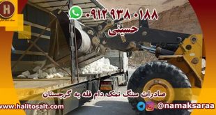 سنگ نمک دام