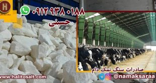 سنگ نمک دام