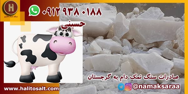 سنگ نمک دام